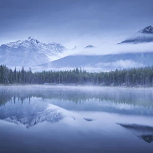 Moody misty morning at Herbert Lake in the Canadian Rockies, Banff National Park