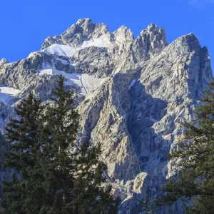 Mount Owen and pines from Cascade Canyon, Grand Teton National Park, Wyoming, United States of America, North America