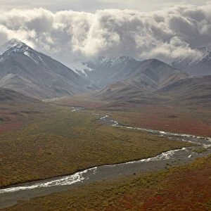 Mountains and a stream through the tundra in fall color, Denali National Park