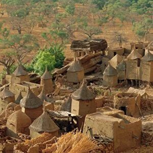 Mali Jigsaw Puzzle Collection: Related Images