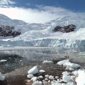 Neko Harbor, Antarctica, Polar Regions