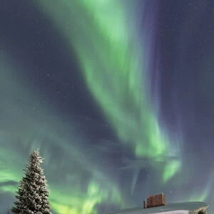 The Northern Lights (Aurora borealis) frame the wooden hut in the snowy woods, Pallas