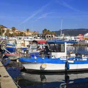 Old Port with fishing boats, cruise ship and ferries, view to distant mountains, Ajaccio