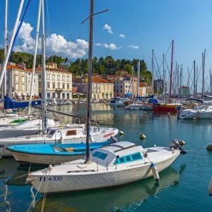 Old Town Harbour, Piran, Primorska, Slovenian Istria, Slovenia, Europe
