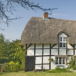 Original timber framed and thatched cottage, Hampshire, England, United Kingdom, Europe