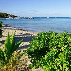 Oualie Beach, Nevis, St. Kitts and Nevis, Leeward Islands, West Indies, Caribbean