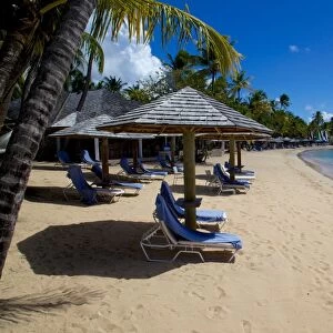 Palm trees and beach, Morris Bay, St. Mary, Antigua, Leeward Islands, West Indies, Caribbean, Central America