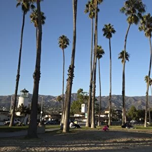 Palm trees behind beach, Santa Barbara, Santa Barbara County, California, United States of America, North America