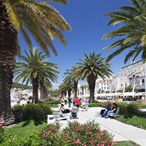 Palm trees and promenade, Split, Dalmatia, Croatia, Europe