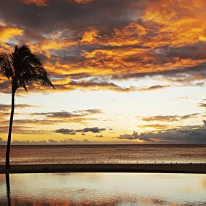 Palm trees silhouetted against red clouds reflect in an infinity pool during sunset over a beach at Flic en Flac, Mauritius, Indian Ocean, Africa