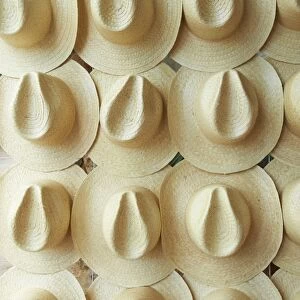 Panama hats for sale, Campeche, Mexico, North America