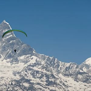 A paraglider hangs in the air with the dramatic peak of Machapuchare (Fishtail mountain)