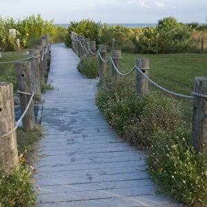 Path to beach, Sanibel Island, Gulf Coast, Florida, United States of America