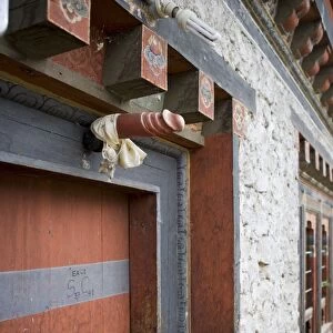 Phallus above house door to ward off evil spirits, Jankar, Bumthang Valley, Bhutan, Asia