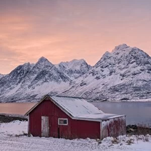 Pink clouds at dawn on the wooden hut surrounded by frozen sea and snowy peaks, Svensby