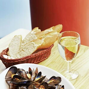 Mollusks Collection: Mussels