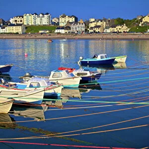 Isle of Man Jigsaw Puzzle Collection: Port Erin