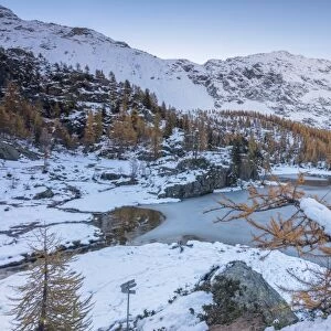 Red larches frame the frozen Lake Mufule, Malenco Valley, Province of Sondrio, Valtellina