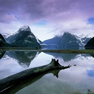 New Zealand Related Images