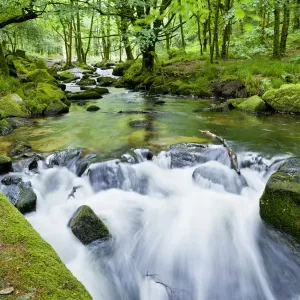 River Fowey Print, Goliath Falls Scene River Fowey Print, Goliath Falls Scene