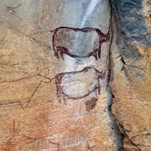 Rock paintings approx. 4000 years old, Tsodilo Hills, UNESCO World Heritage Site