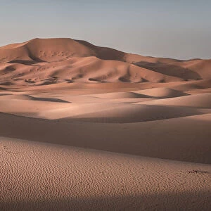 Sand dunes at sunrise in Sahara Desert, Merzouga, Morocco, North Africa, Africa