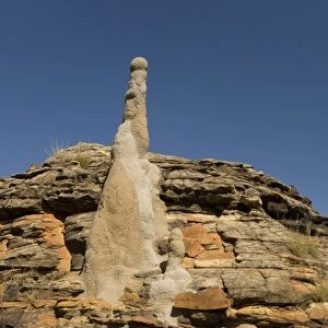 Sandstone hills and termite mounds in The Domes area of Purnululu National Park (Bungle Bungle), UNESCO World Heritage Site, Western Australia, Australia, Pacific