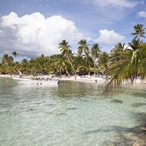 Saona Island, Dominican Republic, West Indies, Caribbean, Central America