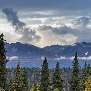 Scenic view of forest and mountains, Denali National Park and Preserve, Alaska, United States of America, North America