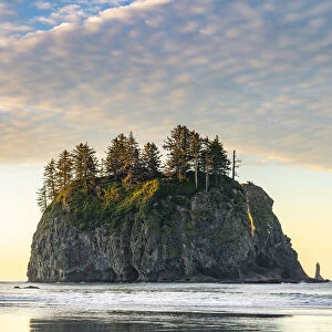 Sea stack at dawn at Second Beach, La Push, Clallam county, Washington State