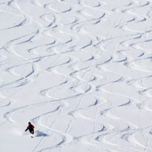 Skiers making early tracks after fresh snow fall at Alta Ski Resort