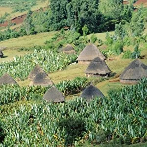 Small village in Hosana region, Shoa province, Ethiopia, Africa
