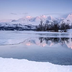 Snowy peaks are reflected in the frozen Lake Jaegervatnet at sunset, Stortind, Lyngen Alps