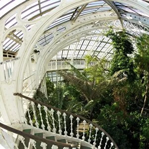 Sights Collection: Temperate House