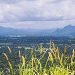 Sri Lanka landscape, taken from the top of Sigiriya Rock Fortress (Lion Rock), Sigiriya, Sri Lanka, Asia