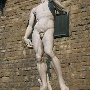 The statue of David by Michelangelo in the Piazza della