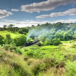 A steam locomotive at Darnholme on the North Yorkshire Railway line travelling