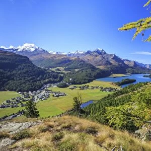 In summer the Engadine valley becomes a paradise for mountain lovers with larch forests, pristine lakes and elegant peaks, Graubunden, Switzerland, Europe