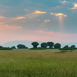 Uganda Heritage Sites Collection: Rwenzori Mountains National Park