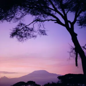 Kenya Heritage Sites Jigsaw Puzzle Collection: Mount Kenya National Park/Natural Forest