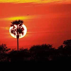 Sunset, Bagan, Myanmar (Burma), Asia