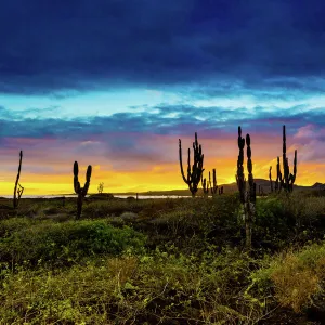 Sunset on Isabella Island, Galapagos Islands, Ecuador, South America