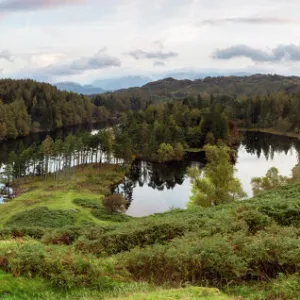 Images Dated 2015 October: 16 Oct 2015