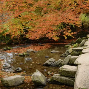 Tarr Steps, a clapper bridge crossing the River Barle on Exmoor, Somerset, England