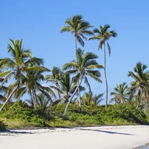 Tihiti beach, Elbow Cay, Abaco Islands, Bahamas, West Indies, Central America
