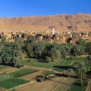 Tinerhir, Dades valley, Morocco, Africa