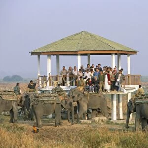 Tourists on elephant back safari