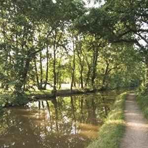 Towpath, Monmouth and Brecon canal