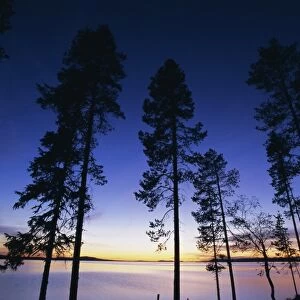 Trees and lake at sunset