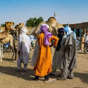 Tuaregs at the animal market, Agadez, Niger, West Africa, Africa